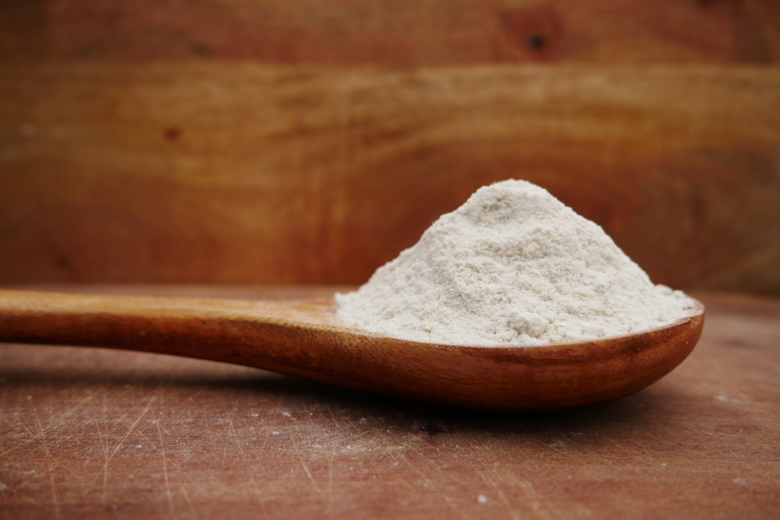 Madame Ferment Tempeh Starter 100 bio fabriqué en France